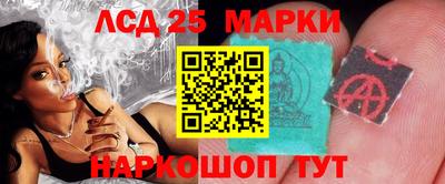 гашик Донецк