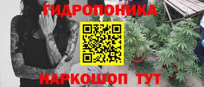 метадон Дубна
