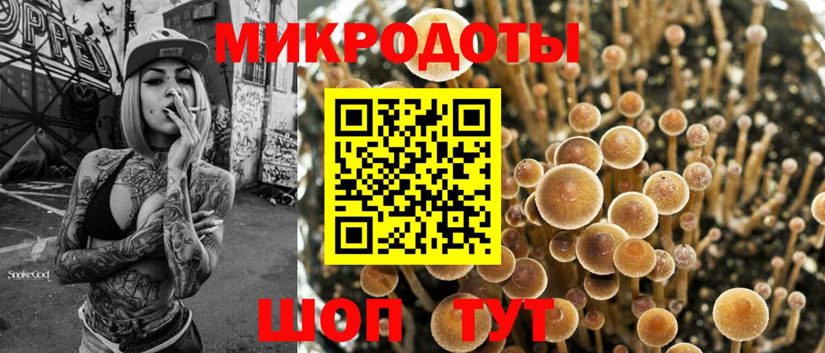 Галлюциногенные грибы мухоморы Михайловка