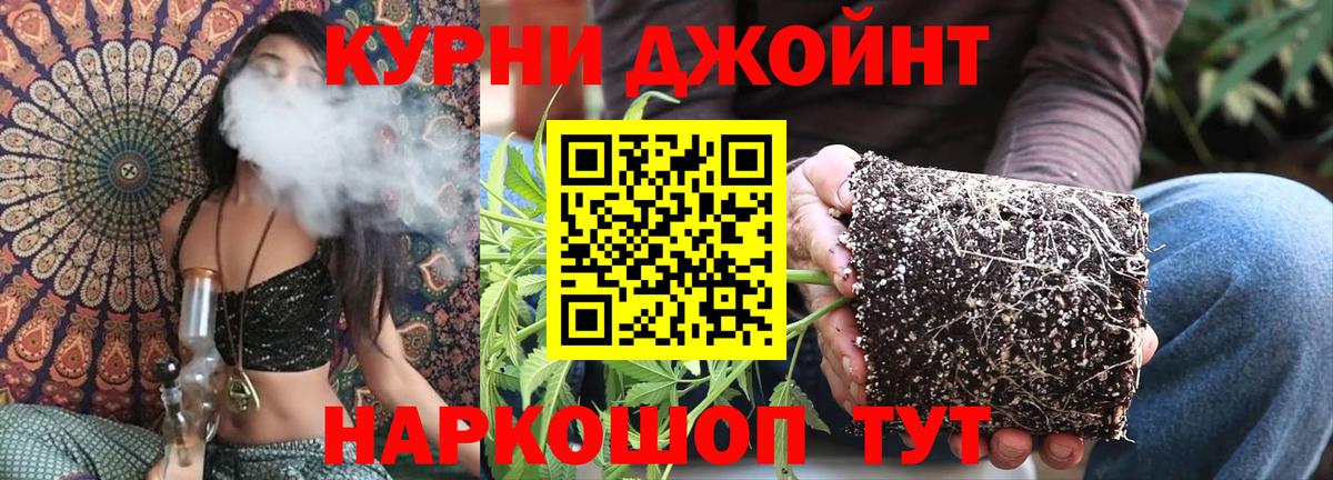 Конопля Amnesia Михайловка
